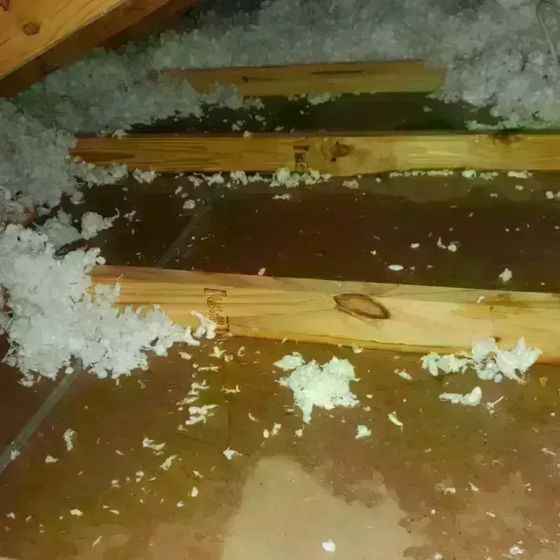 Attic Water Damage in Allegany, NY